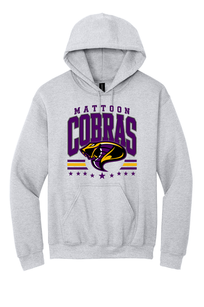 Cobras Baseball Vintage Sport