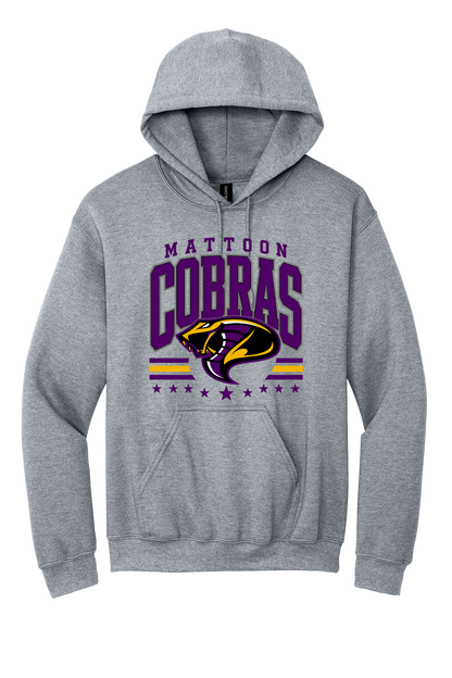 Cobras Baseball Vintage Sport