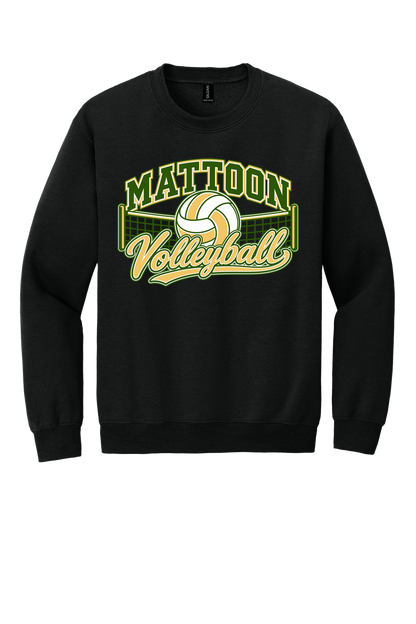 Mattoon Volleyball Net
