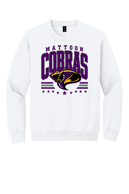 Cobras Baseball Vintage Sport