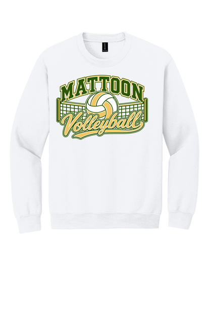 Mattoon Volleyball Net
