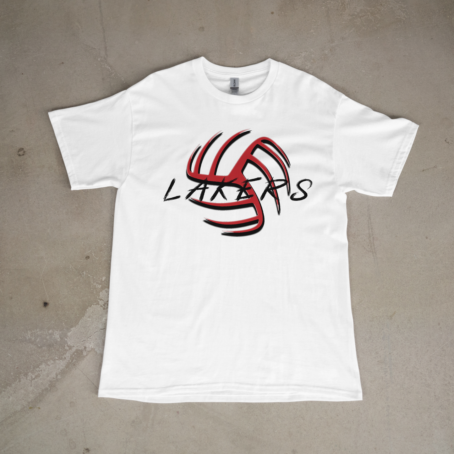 Lakers 3D Volleyball