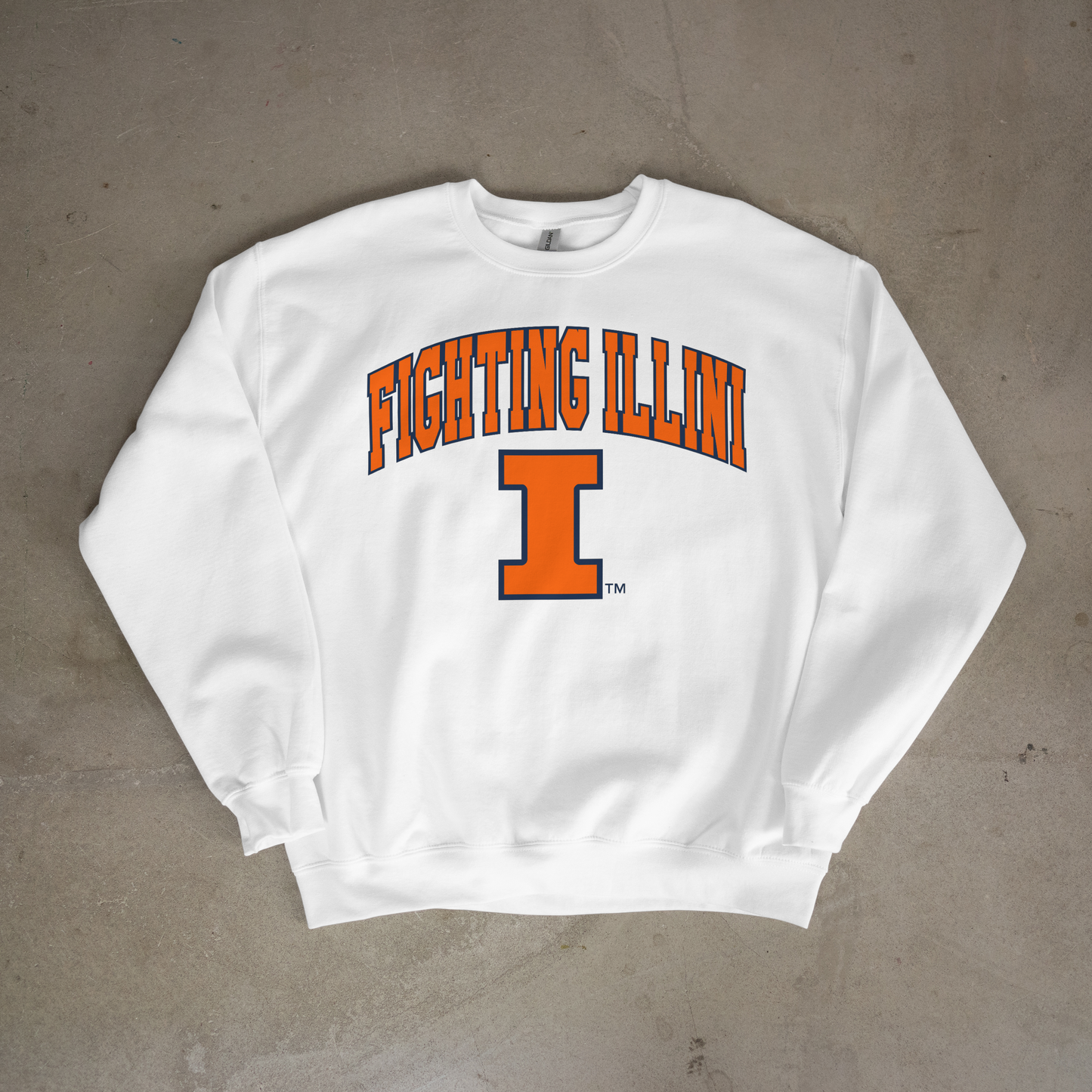 Fighting Illini