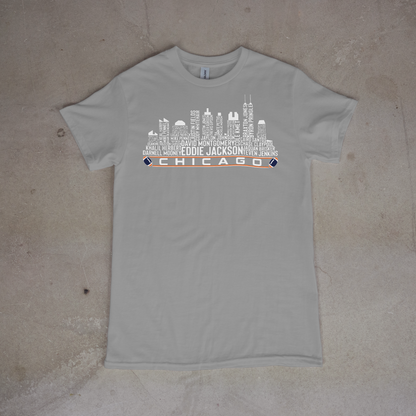 Chicago Bears Skyline